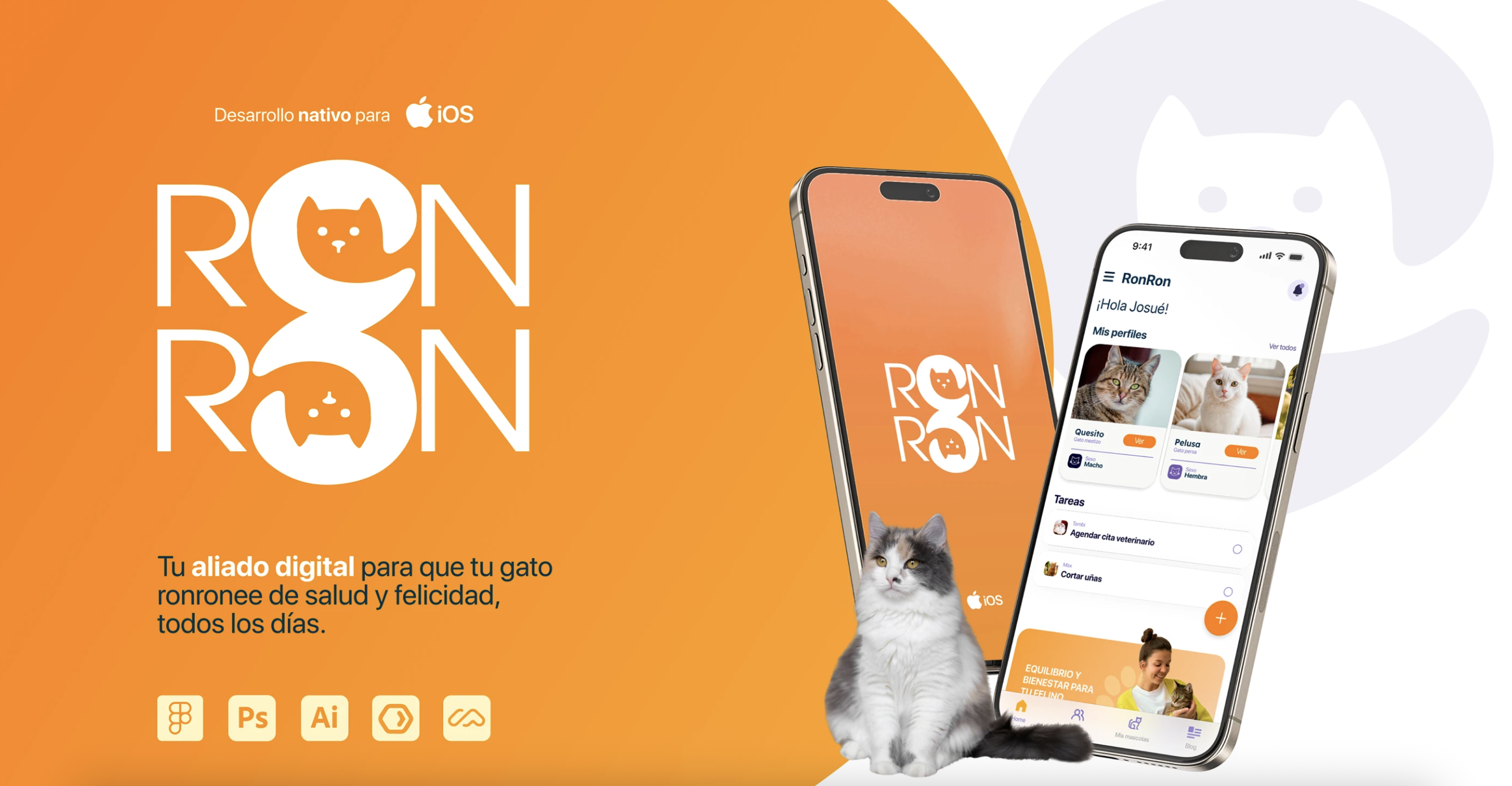 Proyecto RonRon